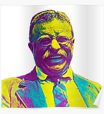 Theodore Roosevelt Poster