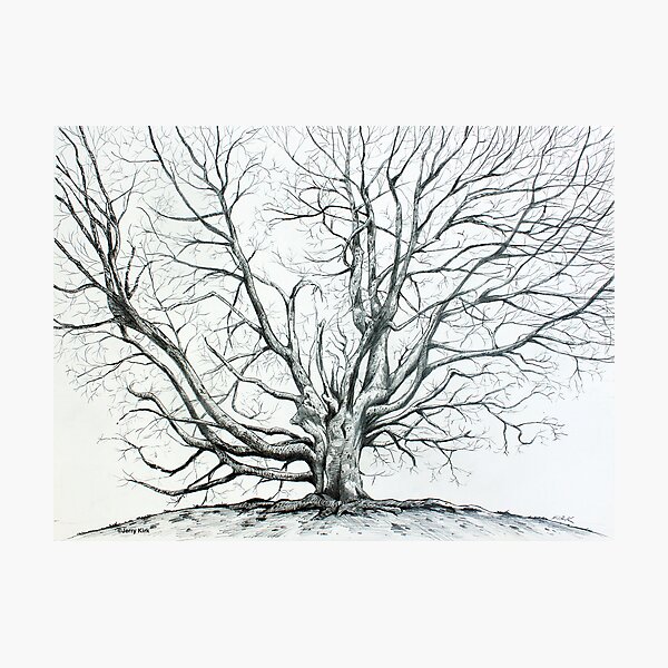 Item preview, 'Winter Tree at Bass Lake' designed and sold by Jerry Kirk.