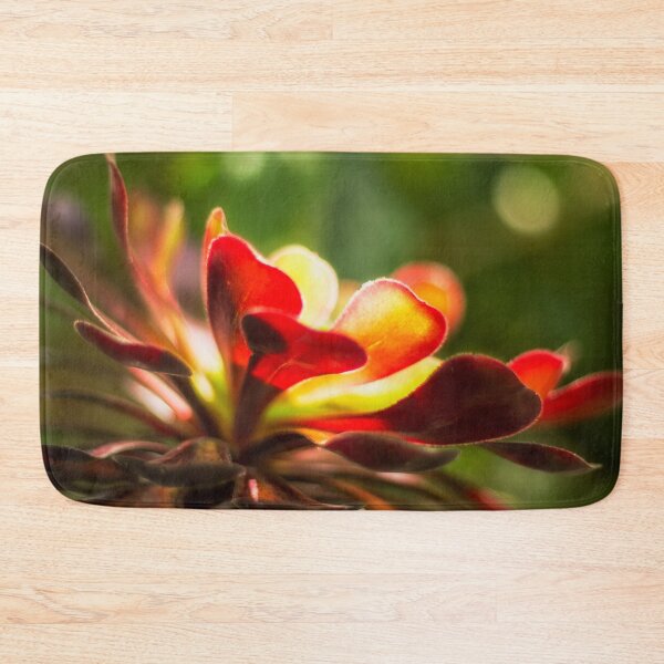 Item preview, Aeonium Zwartkop designed and sold by FOLK ART FUSION by heidiannemorris.