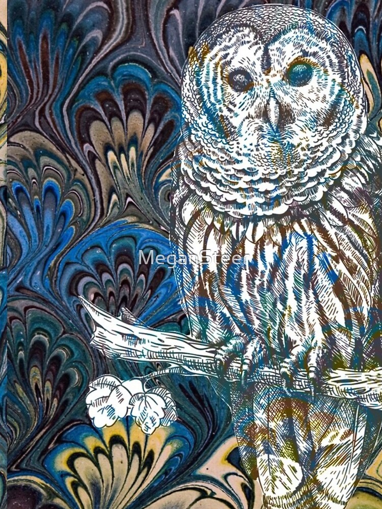 Owl in Blue by MeganSteer
