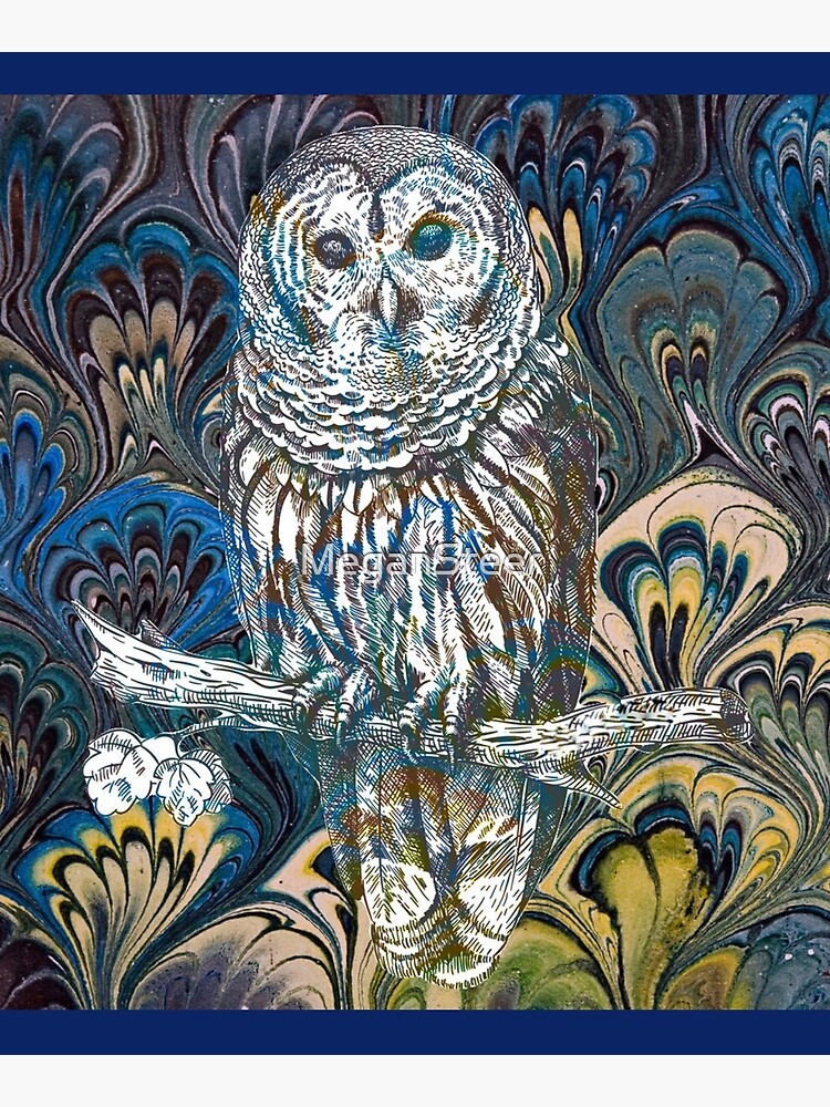 Owl in Blue by MeganSteer