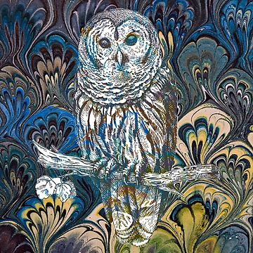 Artwork thumbnail, Owl in Blue by MeganSteer