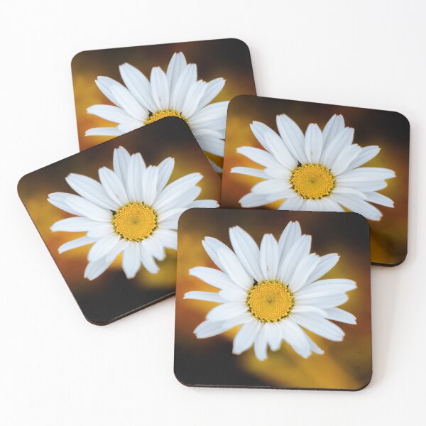 Item preview, African daisy designed and sold by Gaël FONTAINE.