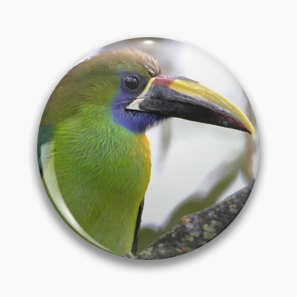 Artikelvorschau, Blau-throated Toucanet entworfen und verkauft von Carole-Anne.