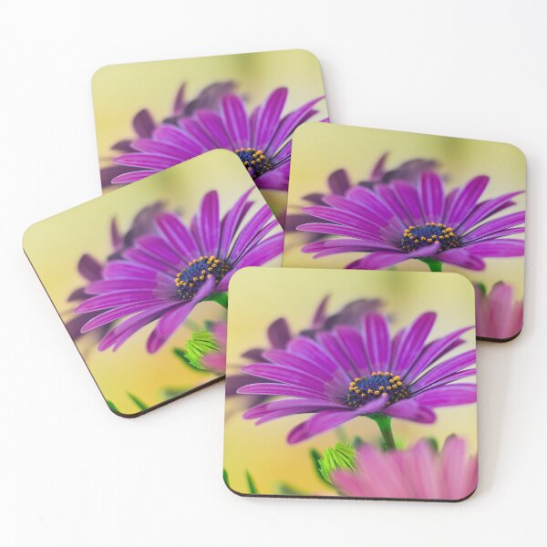 Item preview, African daisy designed and sold by Gaël FONTAINE.