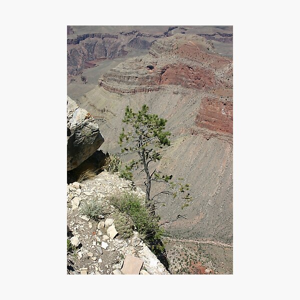 Item preview, Lone Pine designed and sold by eegibson.