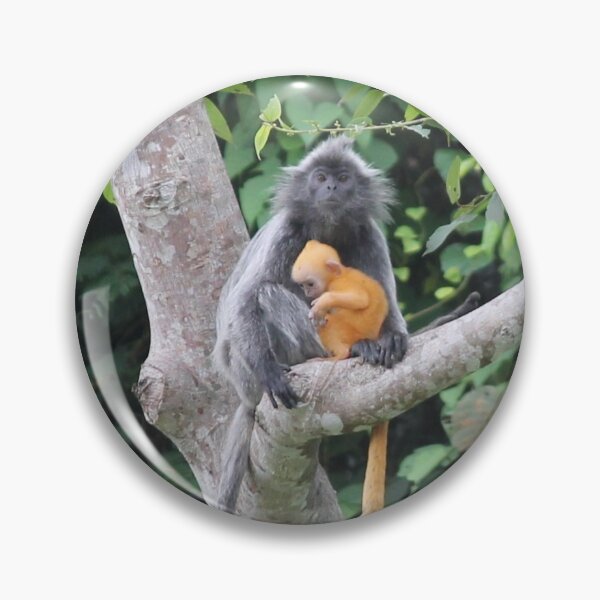 Item preview, Silver leaf monkey and baby designed and sold by mollykaban.