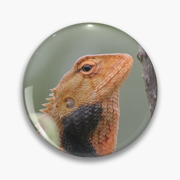Item preview, Oriental garden lizard. designed and sold by mollykaban.