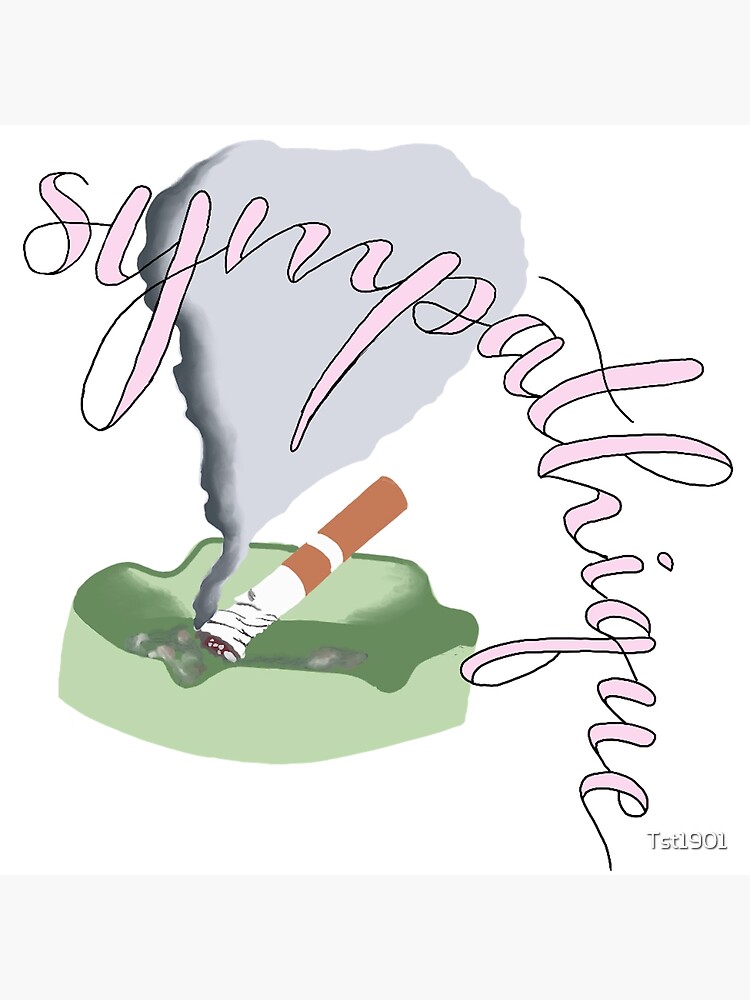 "Pink Martini "sympathique" typography" Poster for Sale by Tst1901 Redbubble