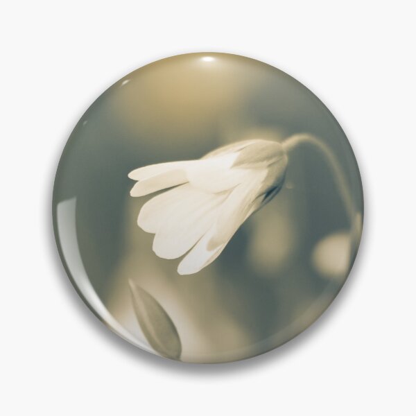 Item preview, Campanula ambella designed and sold by Gaël FONTAINE.