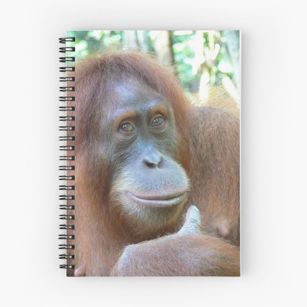 Item preview, Female Sumatran Orangutan designed and sold by mollykaban.