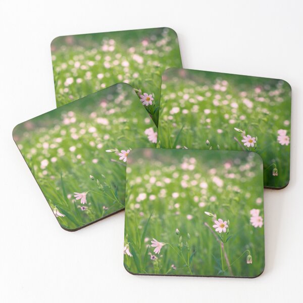Item preview, Campanula ambella designed and sold by Gaël FONTAINE.