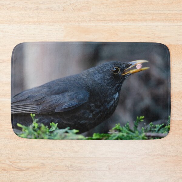 Item preview, Blackbird Got The Food designed and sold by rawshutterbug.