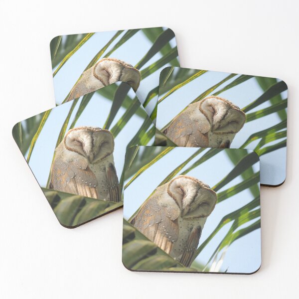 Item preview, Barn Owl designed and sold by mollykaban.
