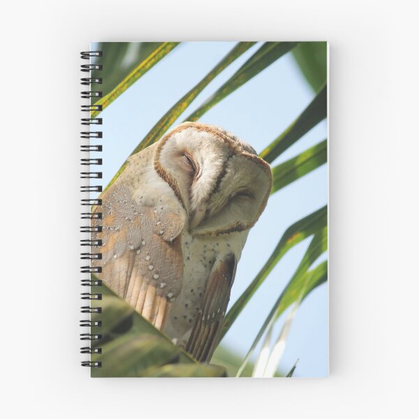 Item preview, Barn Owl designed and sold by mollykaban.