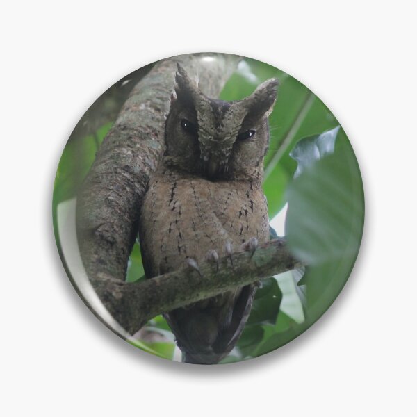 Item preview, Sunda scops owl. designed and sold by mollykaban.