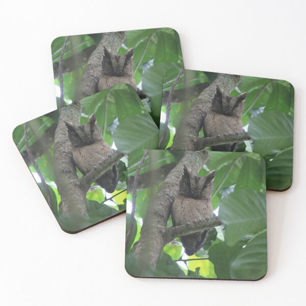 Item preview, Sunda scops owl. designed and sold by mollykaban.