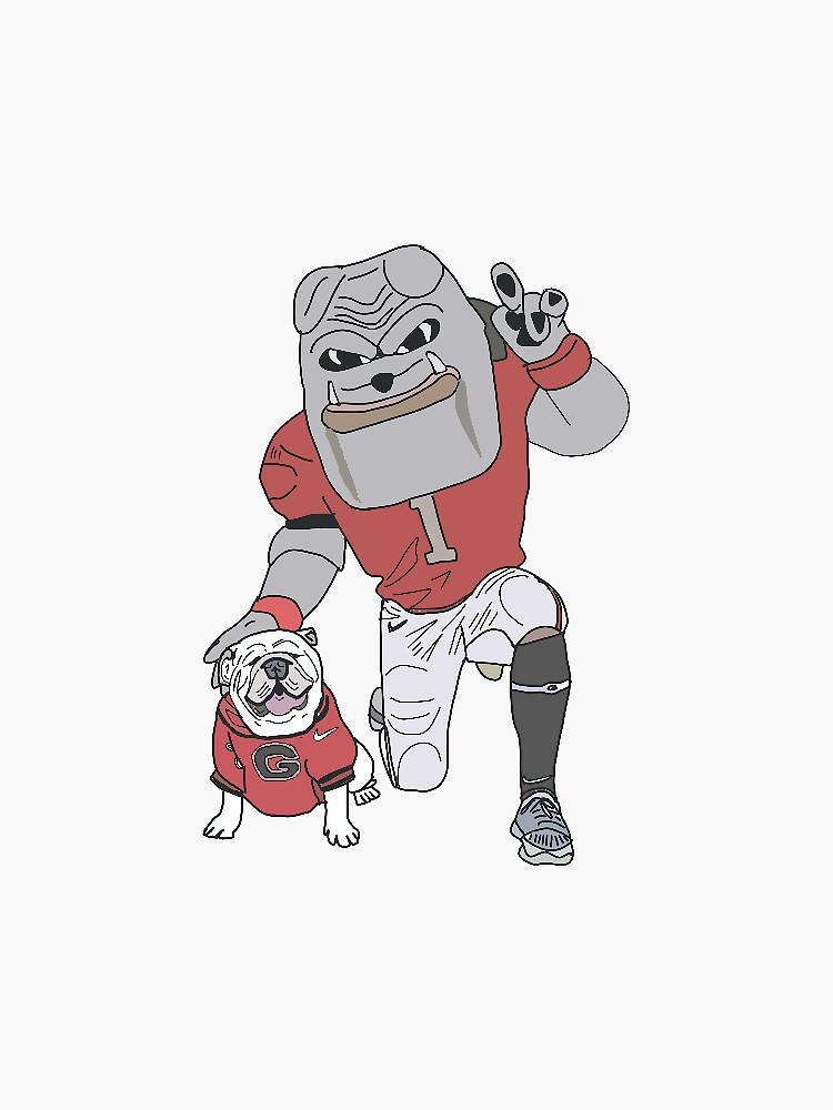 UGA Georgia Bulldogs Decal Sticker Sheet 23 Small Premium Photo for Kids &  Adults UGA X Hairy Dawg Helmet Party, Kids, Tailgate 