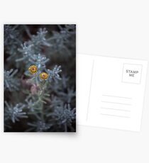 Walking hand in hand Postcards