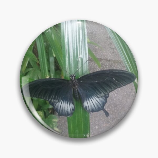 Item preview, Mariposa mormona escarlata designed and sold by mirmirladybug.