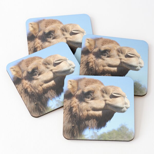 Item preview, Call Me Camel designed and sold by Autumn Seas Photography.