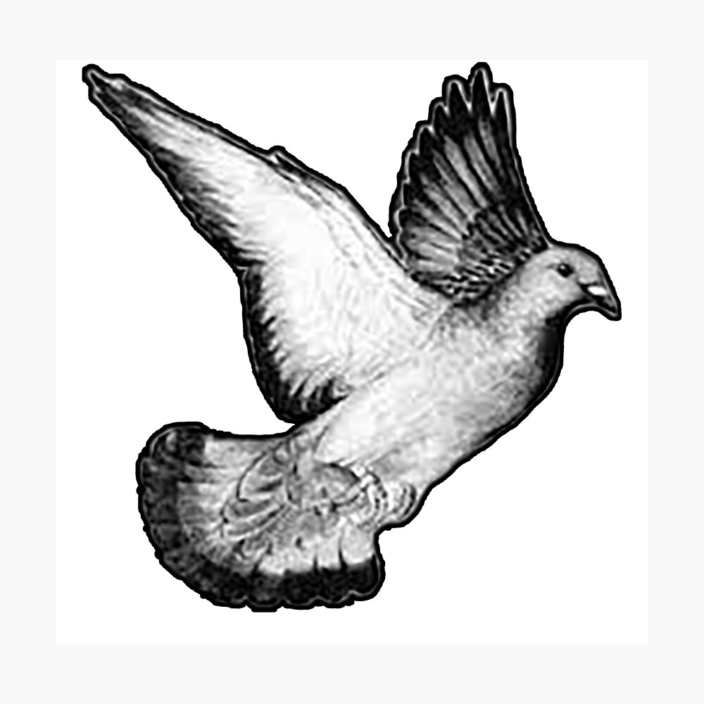 flying pigeon poster by teesigned redbubble flying pigeon poster by teesigned redbubble