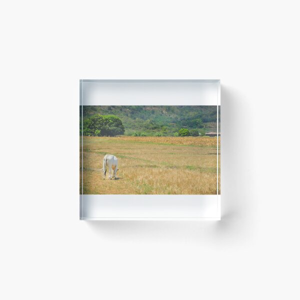 Item preview, Life of Moo designed and sold by Sparcicus.
