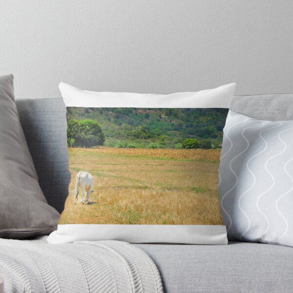 Item preview, Life of Moo designed and sold by Sparcicus.