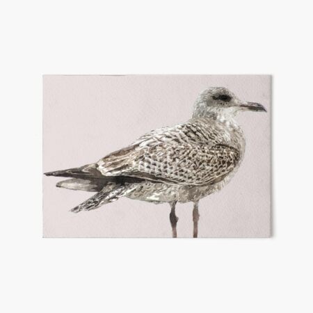 Brighton Gull Art Board Print
