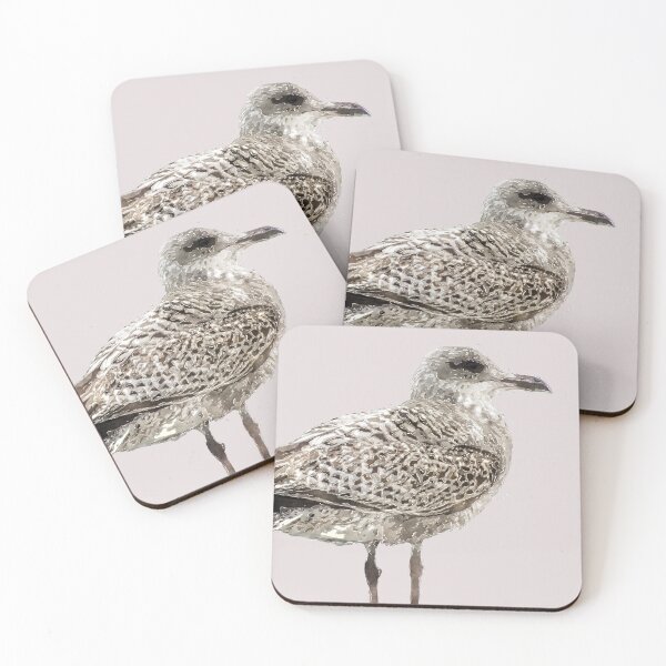 Brighton Gull Coasters (Set of 4)