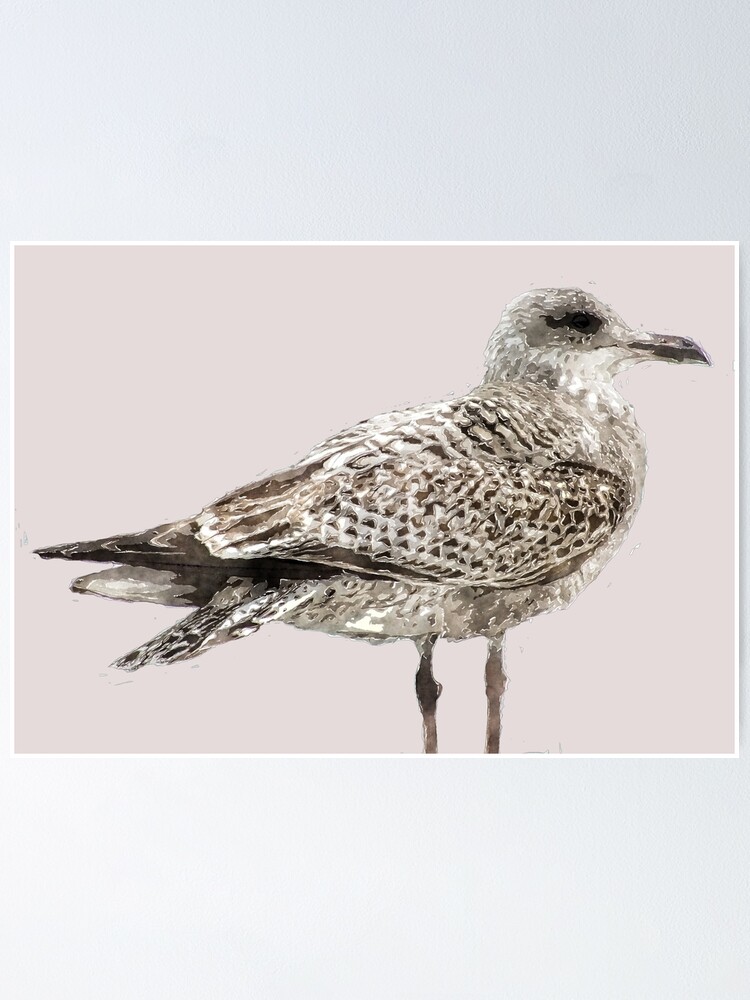 Thumbnail 1 of 3, Poster, Brighton Gull designed and sold by bywhacky.