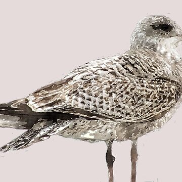 Artwork thumbnail, Brighton Gull by designbywhacky