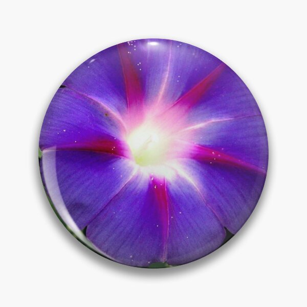 Item preview, morning glory designed and sold by rainingcrow.