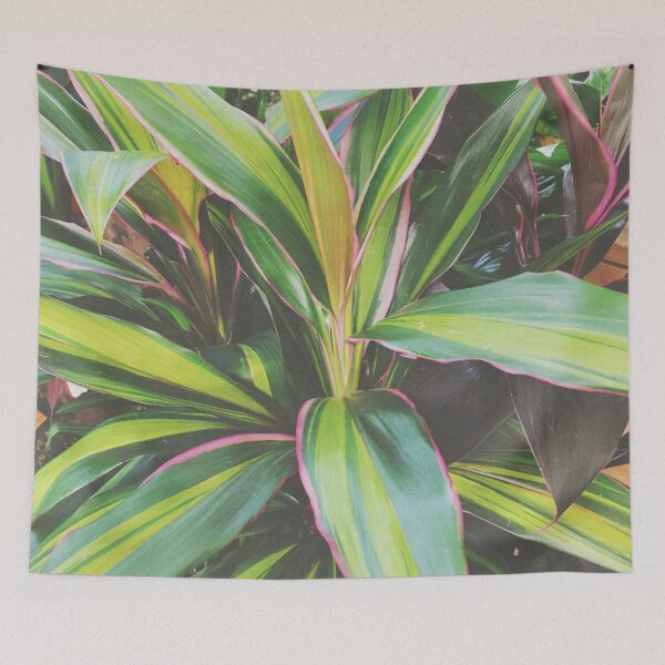 Item preview, Foliage II designed and sold by Cassia Beck.