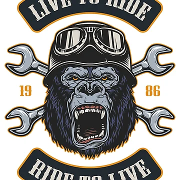 Artwork thumbnail, Live To Ride Ride To Live by Curio Meridian