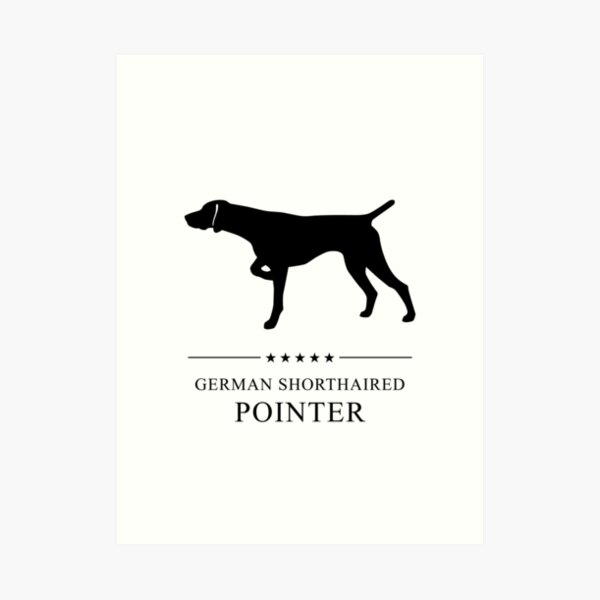German Shorthaired Pointer Black Silhouette Art Print
