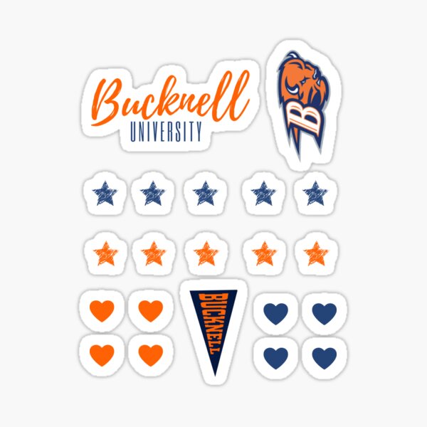 Item preview, Bucknell University Sticker Set designed and sold by michellewang1.