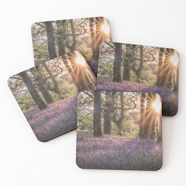 Item preview, 'Sunset Bluebells', Kinclaven Woods, Perthshire. designed and sold by mucklepawprint.