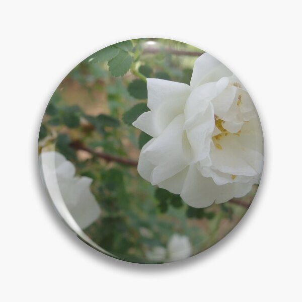 Item preview, White Wild Roses designed and sold by LadyRachelJ.