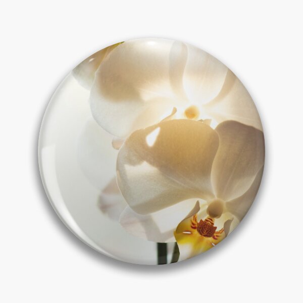 Artikelvorschau, Phalaenopsis Bristol entworfen und verkauft von WhateverAngie.