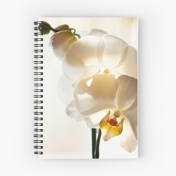 Item preview, Phalaenopsis Bristol designed and sold by WhateverAngie.