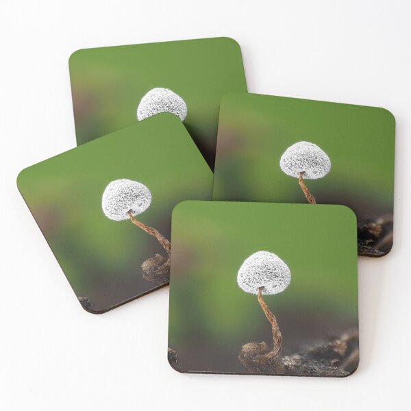 Item preview, Slime mold under the microscope designed and sold by SDym Photography.
