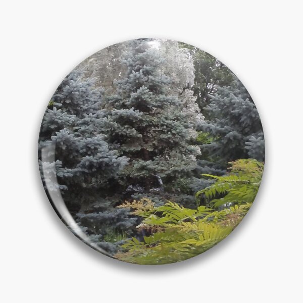 Item preview, Blue Spruce Trees designed and sold by LadyRachelJ.