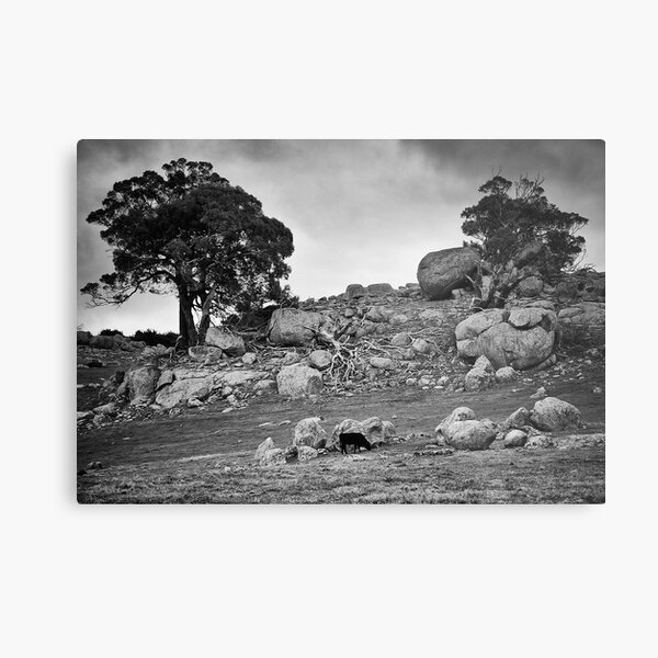 Ancient sacrifice Metal Print