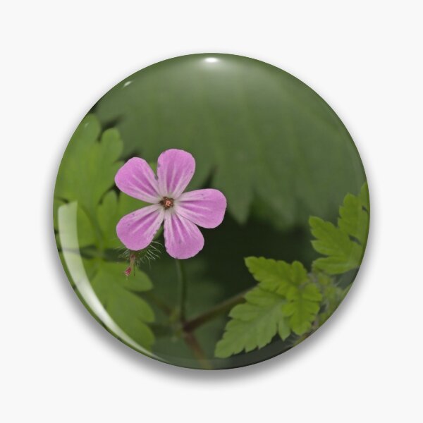 Item preview, Herb robert wildflower designed and sold by xophotography.