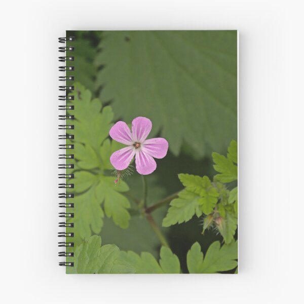 Item preview, Herb robert wildflower designed and sold by xophotography.