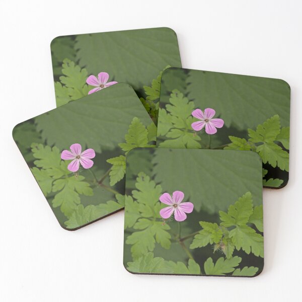Item preview, Herb robert wildflower designed and sold by xophotography.