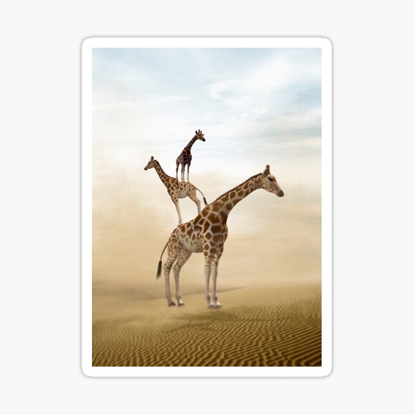 Three giraffes pose in a surreal desert setting. Sticker