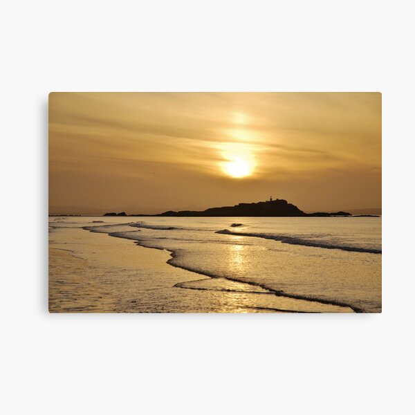 Yellow Craigs, East Lothian sunset showing Fidra Lighthouse and Island in the Firth of Forth Canvas Print