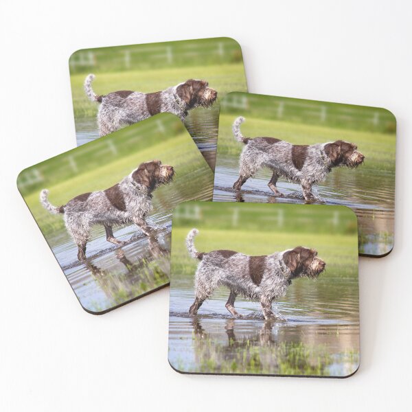 Item preview, Wading through a pool Spinone by heidiannemorris designed and sold by FOLK ART FUSION by heidiannemorris.